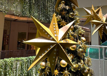 Shopping Cidade Jardim Celebra o Natal com Elegância e Experiências Exclusivas
