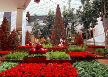 Um Natal de Magia e Gratidão no Iguatemi São Paulo