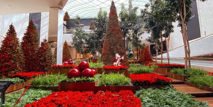Um Natal de Magia e Gratidão no Iguatemi São Paulo 45 Um Natal de Magia e Gratidão no Iguatemi São Paulo