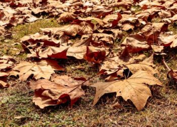 Outono no Brasil começa com temperaturas acima da média e chuvas irregulares