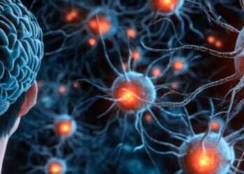 A Nova Fronteira do Bem-Estar: Saúde Cerebral e Equilíbrio Mental em Foco