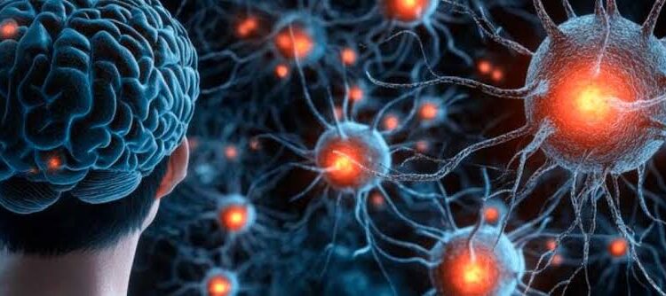 A Nova Fronteira do Bem-Estar: Saúde Cerebral e Equilíbrio Mental em Foco