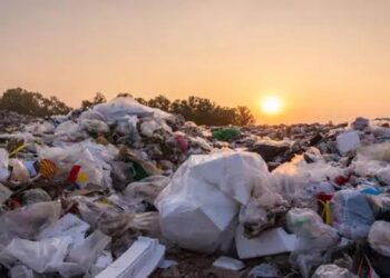 Ameaça Urgente: Plastificantes em Plásticos e o Declínio Global da Fertilidade Masculina