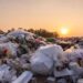 Ameaça Urgente: Plastificantes em Plásticos e o Declínio Global da Fertilidade Masculina 52 Ameaça Urgente: Plastificantes em Plásticos e o Declínio Global da Fertilidade Masculina
