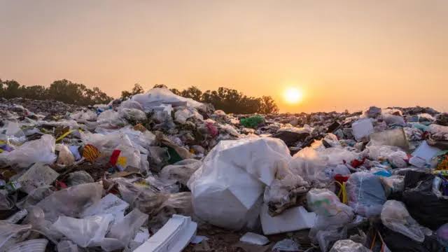 Ameaça Urgente: Plastificantes em Plásticos e o Declínio Global da Fertilidade Masculina 45 Ameaça Urgente: Plastificantes em Plásticos e o Declínio Global da Fertilidade Masculina