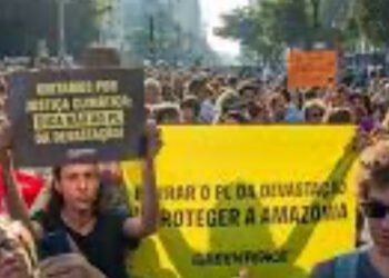“Devastation Bill”: retrocesso ambiental preocupa especialistas