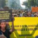 “Devastation Bill”: retrocesso ambiental preocupa especialistas