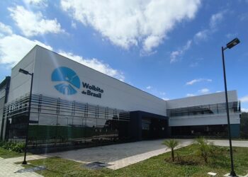 Brasil inaugura maior biofábrica de mosquitos com Wolbachia para combater dengue, zika e chikungunya