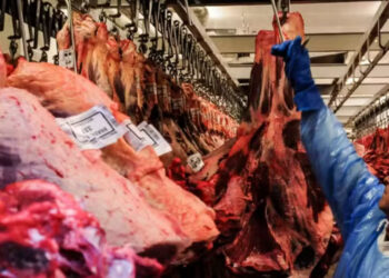 Exportações de carne disparam com realinhamento global após tensão comercial entre Brasil e EUA
