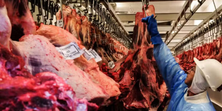 Exportações de carne disparam com realinhamento global após tensão comercial entre Brasil e EUA