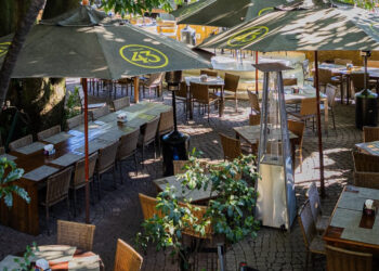 Pé de Manga – Um refúgio verde na alma pulsante da Vila Madalena