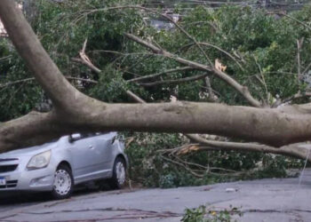 Cidade de São Paulo entra em alerta por chuva intensa e ventania — rajadas podem superar 100 km/h no fim de semana