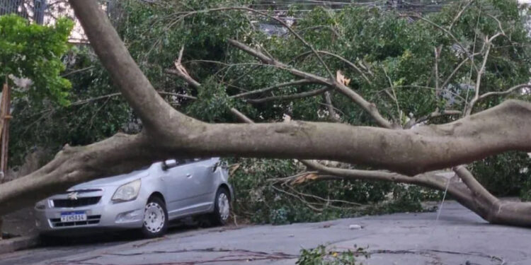 Cidade de São Paulo entra em alerta por chuva intensa e ventania — rajadas podem superar 100 km/h no fim de semana