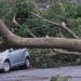 Cidade de São Paulo entra em alerta por chuva intensa e ventania — rajadas podem superar 100 km/h no fim de semana
