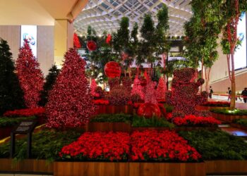 Natal no Iguatemi São Paulo: elegância, luz e tradição em sua forma mais sofisticada