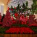 Natal no Iguatemi São Paulo: elegância, luz e tradição em sua forma mais sofisticada