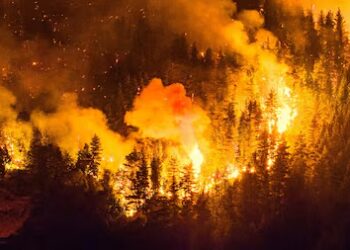 Incêndio florestal de grandes proporções atinge a Patagônia argentina e queima 5,5 mil hectares