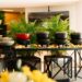 Sábado em São Paulo ganha nova agenda gastronômica: Grand Mercure Ibirapuera fixa a Feijuca Grand Ibira em sua programação semanal 49 54f3801e 4ec1 47c2 922b ba7f076371dd