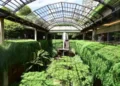 Shopping Cidade Jardim anuncia maior expansão de sua história e reforça posição como polo de luxo na América Latina