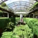 Shopping Cidade Jardim anuncia maior expansão de sua história e reforça posição como polo de luxo na América Latina