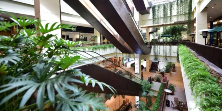 São Paulo reforça posição como capital do luxo com chegada de novas maisons e expansão histórica no Cidade Jardim 45 São Paulo reforça posição como capital do luxo com chegada de novas maisons e expansão histórica no Cidade Jardim