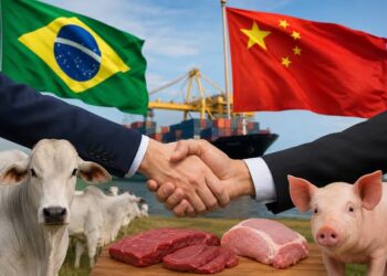 China Reconhece Brasil como País Livre de Febre Aftosa e Abre Novas Oportunidades para o Agronegócio