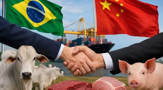 China Reconhece Brasil como País Livre de Febre Aftosa e Abre Novas Oportunidades para o Agronegócio 45 China Reconhece Brasil como País Livre de Febre Aftosa e Abre Novas Oportunidades para o Agronegócio