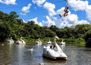 Fazenda Angolana: turismo rural, natureza e gastronomia em uma das experiências mais afetivas de São Roque