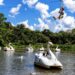 Fazenda Angolana: turismo rural, natureza e gastronomia em uma das experiências mais afetivas de São Roque 51 Fazenda Angolana: turismo rural, natureza e gastronomia em uma das experiências mais afetivas de São Roque