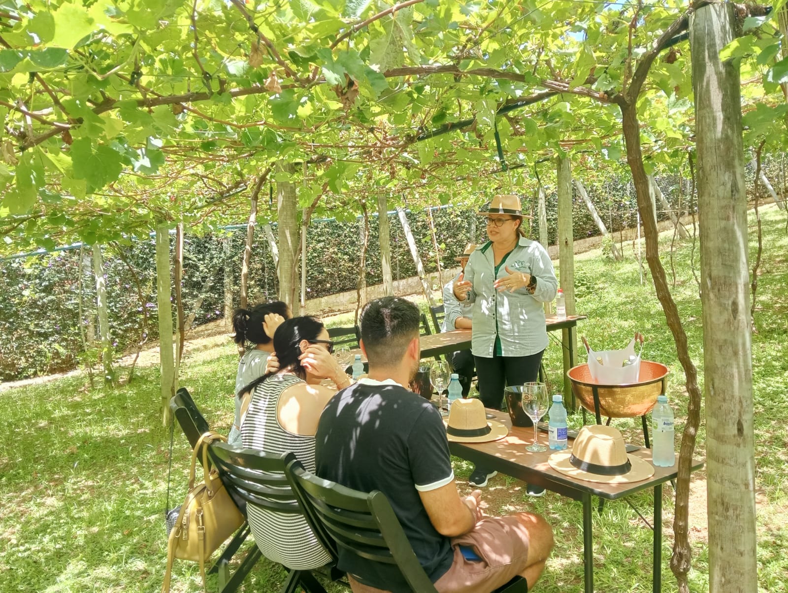 Um destino onde o vinho encontra a emoção e cada experiência se transforma em memória 48 7960c620 aa57 4c52 82ac 9e985d33f72e
