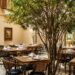 Josephine: tradição, elegância e gastronomia atravessam gerações no coração da Vila Nova Conceição