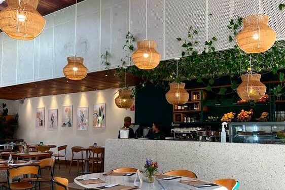 Salvi Café e Cozinha transforma o brunch em uma pausa leve e cheia de sabor em Santana
