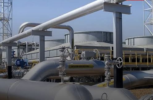 Nova indústria de gases medicinais será instalada no Amazonas com investimento de R$ 150 milhões