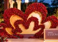 Sol Flowers: a arte de transformar flores em experiências que atravessam a memória