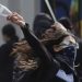 Albânia enfrenta onda de violência e crise política após protestos contra governo 51 Albânia enfrenta onda de violência e crise política após protestos contra governo